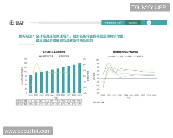 足球25号球星的传奇之路与未来发展展望分析 足球25号球星的传奇之路与未来发展展望分析